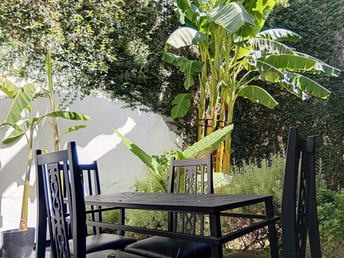 Patio con mesa negra y muros de hiedra